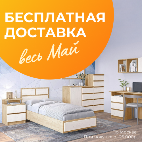 баннер_бесплатная доставка (05-24)_soc news.png