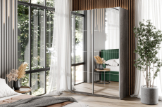 Шкафы-купе 2-х дверные, Шкаф-купе Smart 1422 2х дверный (фасады зеркало) профиль серебро