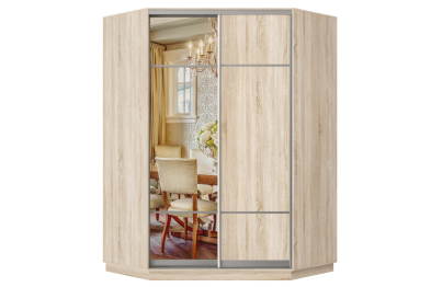 Шкаф-купе Премьер Лайт 71 угловой (08;11) двухдверный