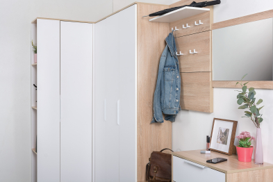 Шкаф для одежды Куба 13.137