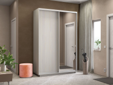 Шкафы-купе 2-х дверные, Шкаф-купе Экспресс Медиум дуо 2400 x 1600 x 450