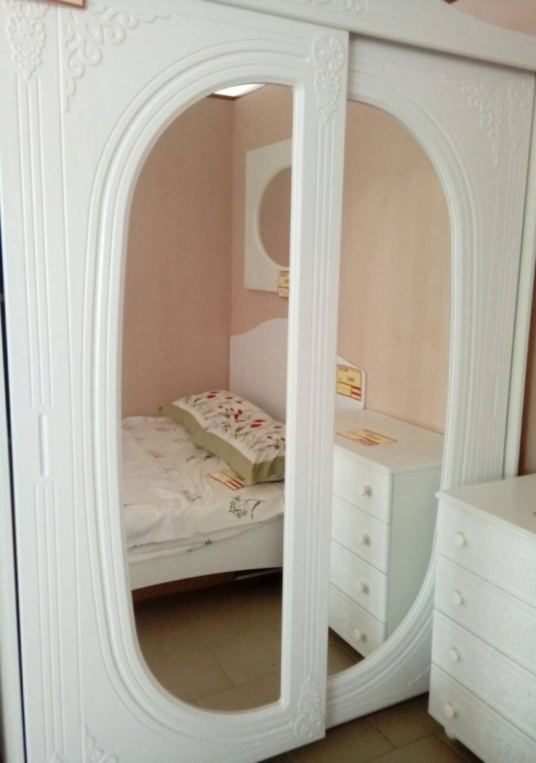 Шкафы-купе 2-х дверные, Шкаф-купе Ассоль АС-16