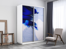 Шкафы-купе, Шкаф-купе Экспресс 1010, 120х45х220