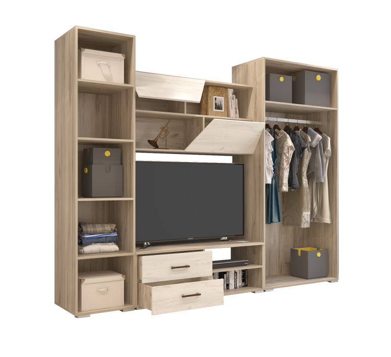 Стенки для гостиной, Гостиная Дакар (венге/дуб)