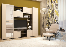 Стенки для гостиной, Гостиная Флора - 2 (венге/ дуб)