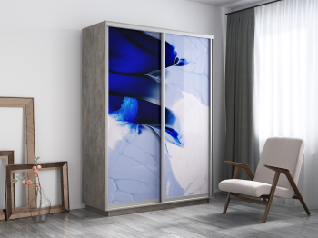 Шкаф-купе Экспресс 1010, 120х45х220