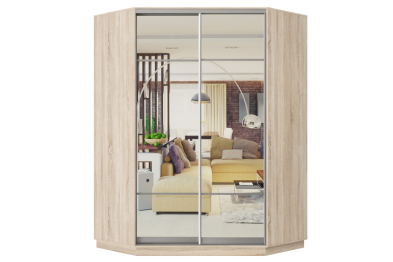 Шкаф-купе Премьер Лайт 71 угловой (11;11) двухдверный