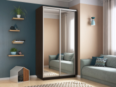 Шкафы-купе 2-х дверные, Шкаф-купе Экспресс Хит 2х дверный Зеркала 120х60х220