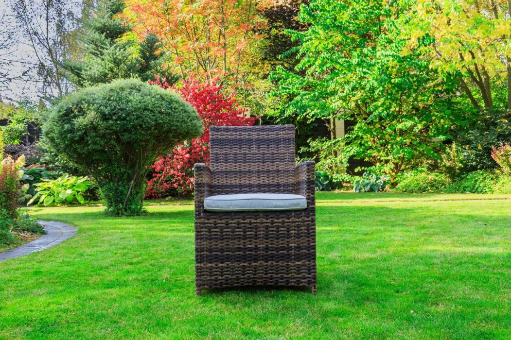 Стулья, Обеденное кресло FIONA