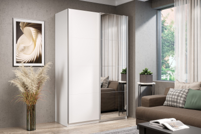 Шкаф-купе Smart 1224 2х дверный (фасады ЛДСП,зеркало) профиль серебро