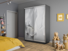 Шкафы-купе 2-х дверные, Шкаф-купе Экспресс 2-х дверный Фотопечать Шелк Стекла 140х45х220