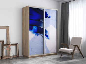 Шкаф-купе Экспресс 1010, 160х60х220