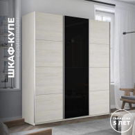 Шкафы-купе 3-х дверные, Шкаф-купе Прайм 3-х дверный ДСП/Стекло черное/Доводчики 180х57х230