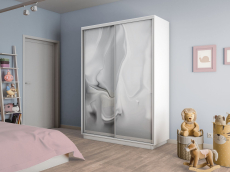 Шкафы-купе 2-х дверные, Шкаф-купе Экспресс 2-х дверный Фотопечать Шелк Стекла 120х60х220