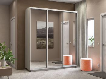 Шкаф-купе Экспресс Экспенс трио 2200 x 2100 x 600