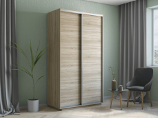 Шкафы-купе 2-х дверные, Шкаф-купе Экспресс Хит 2х дверный ДСП 120х60х220