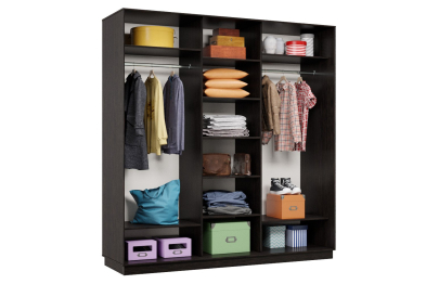 Шкаф-купе Премьер Лайт 42 (02;02;02) трехдверный