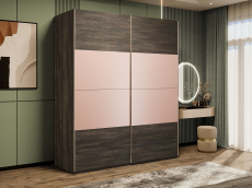 Шкафы-купе 2-х дверные, Шкаф-купе Эста 2-х дверный ДСП/Стекла пудра/Доводчик 200х66х240