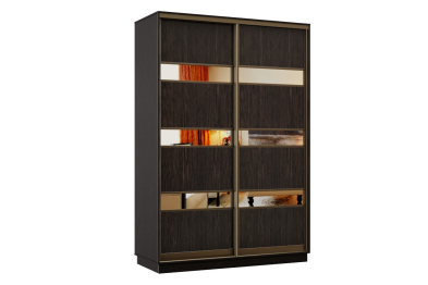 Шкаф-купе Премьер 10 Венге