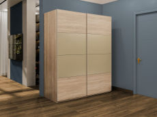 Шкафы-купе 2-х дверные, Шкаф-купе Эста 2-х дверный ДСП/Стекла фисташка/Доводчик 160х66х240