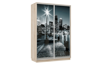 Шкаф-купе Премьер Лайт 03 Ф-1356 двухдверный